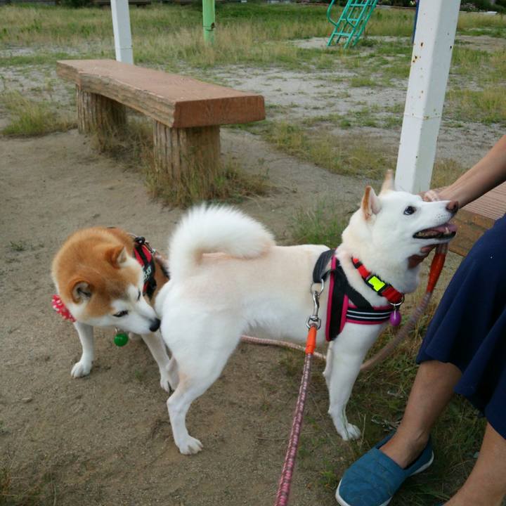 1e6b674e cb54 49bc bb3e 86cad7e594f6 1562409501010