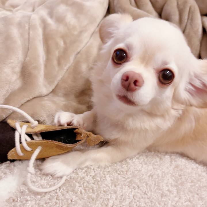 1e6b6a97 76aa 438d b3e3 ff46ea834b84 1697716324439