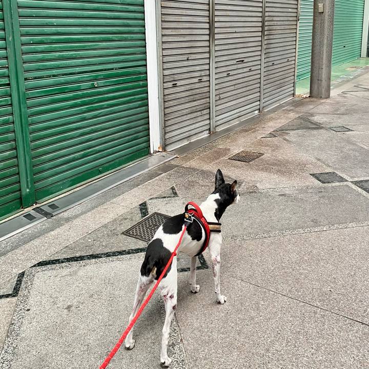 1e6bc635 f49e 47f9 85eb 7fba123a99bc 1630817452896