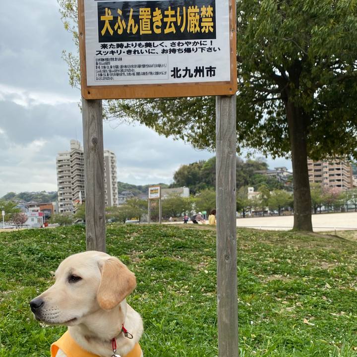 1e6c0c50 50b2 4b7d b1a9 70024b92db7d 1618320644770