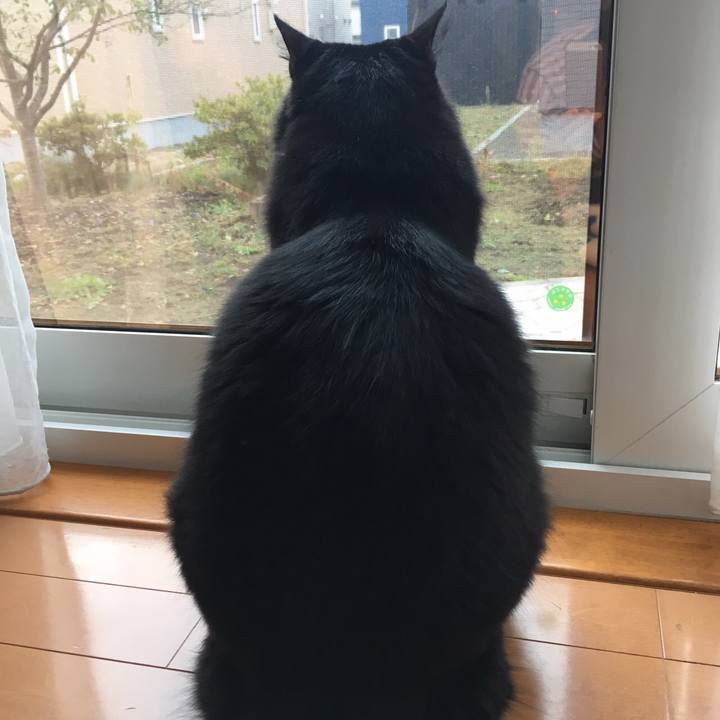 1e6c0dc6 a3aa 4d67 84e5 178a3dcb78ff 1508454381827