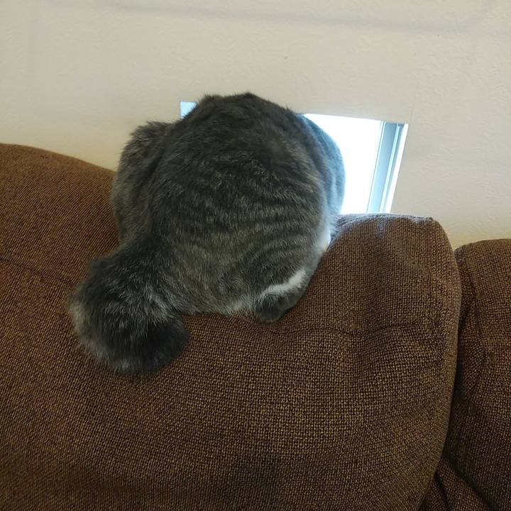 1e6c2d24 b547 43ee be59 b2dea9fe04c2 1570329822237