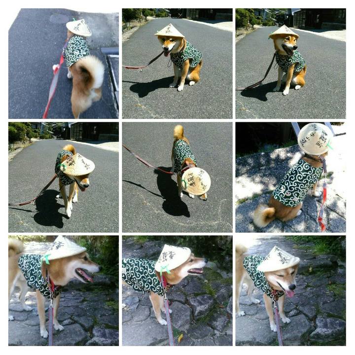 1e6c5011 401b 499f 957e 8d8a962df7be 1565268659445