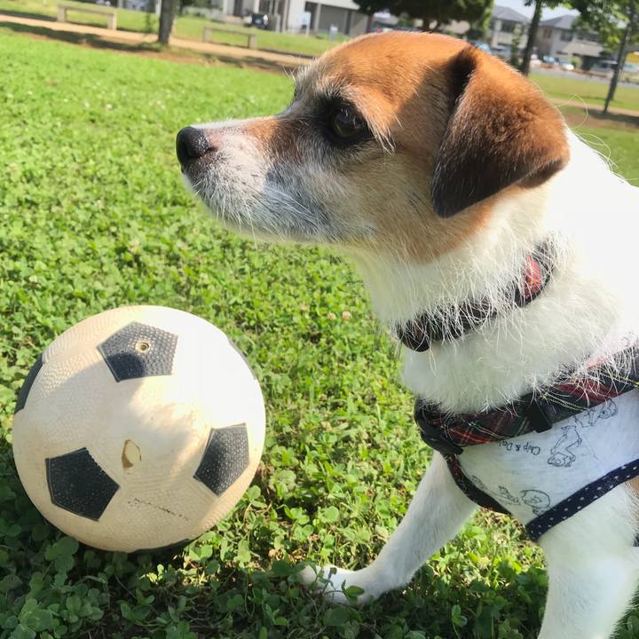 1e6c5972 eaa7 459e 82b4 fdf2c10efdaa 1529887831946