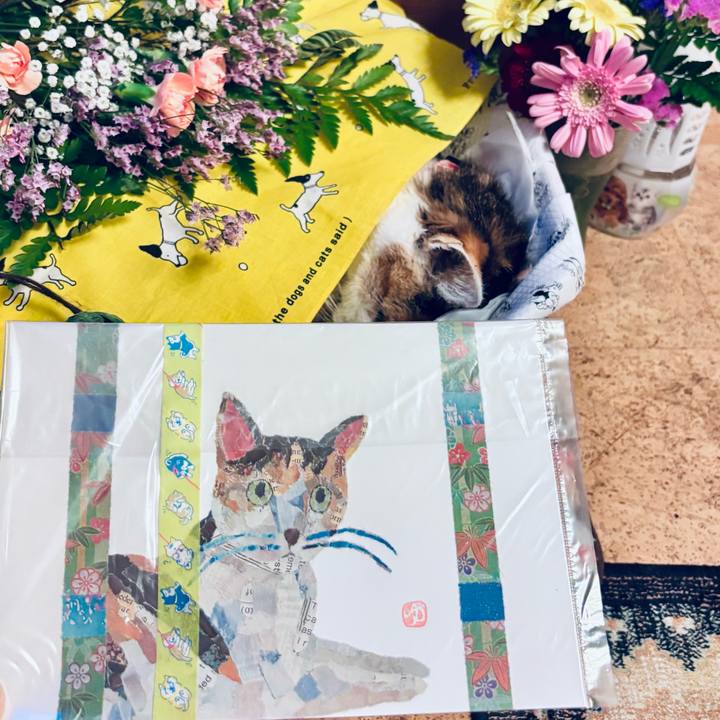 1e6c78f2 bbf0 438a 92dc 8c7d9f8a4a1e 1747740742411