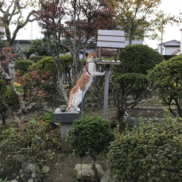 1e6c7f9d 2dcf 4f07 bf35 123d465d2c55 1509326790634