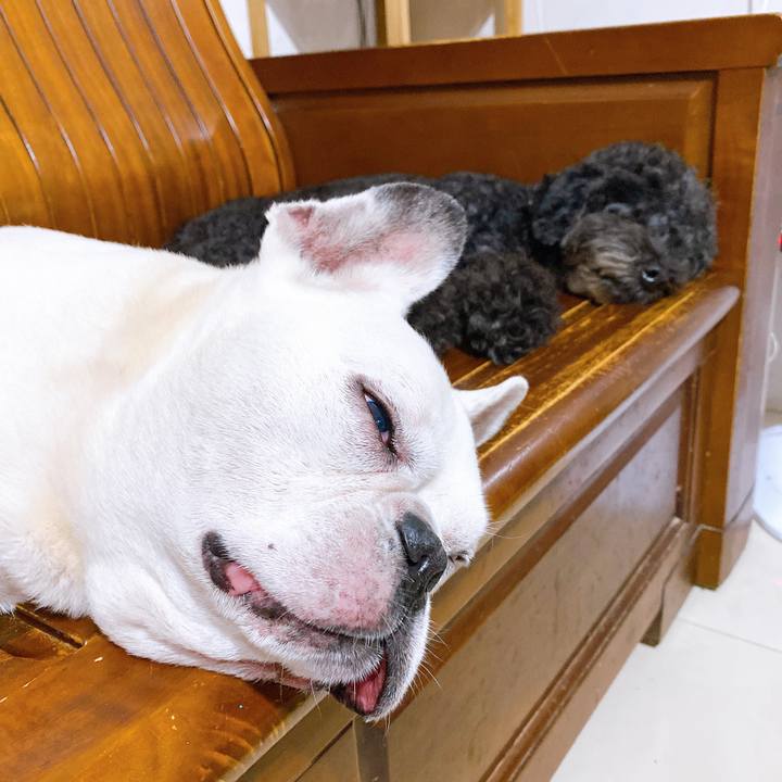 1e6c8874 4ecf 4317 844f 525a77ad580d 1606318862787