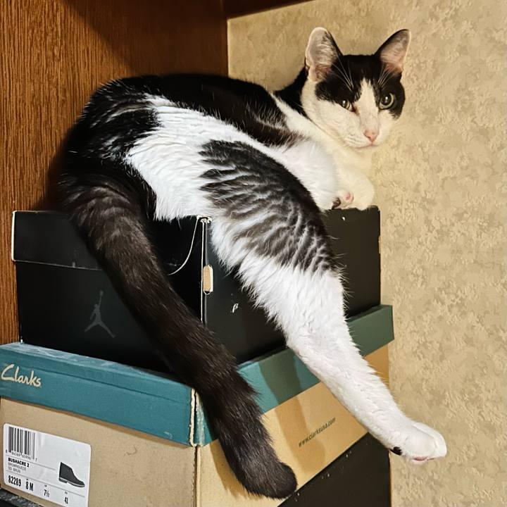 1e6cbae4 b8ef 4b76 8541 4e7de1ec2986 1695606852097