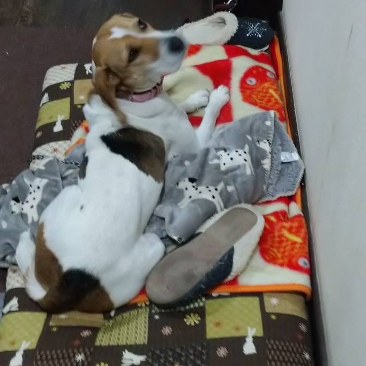 1e6cfa7e 59b6 4f70 bf65 ea6e92e02364 1580641405389