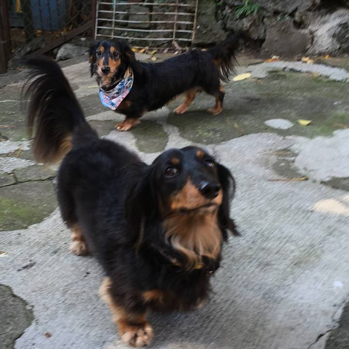 1e6d0605 e79d 4f6f 8b1a 2e261cbd11e7 1509880940957