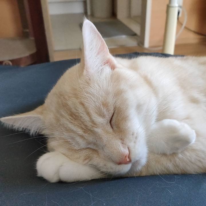 1e6d2545 0cb4 448b b06b 8957143c2f63 1660894961079