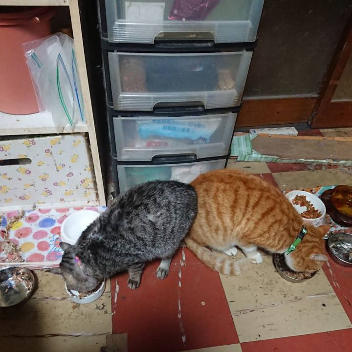 1e6d3822 260e 48ea 820b 4dcb99e4e903 1580210383486