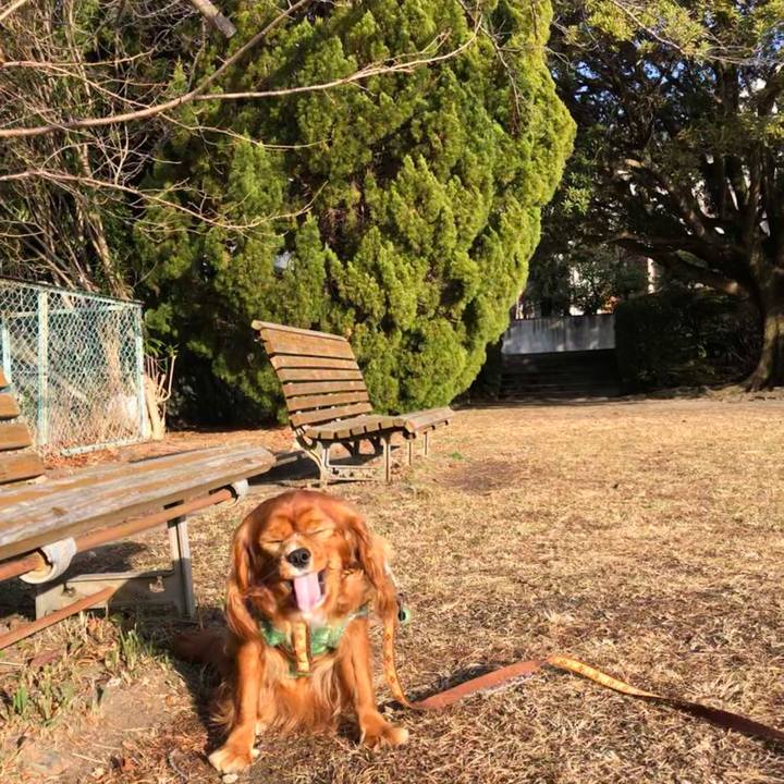 1e6d5250 6911 4d4f 93cd 0dacd5de211f 1611095394160