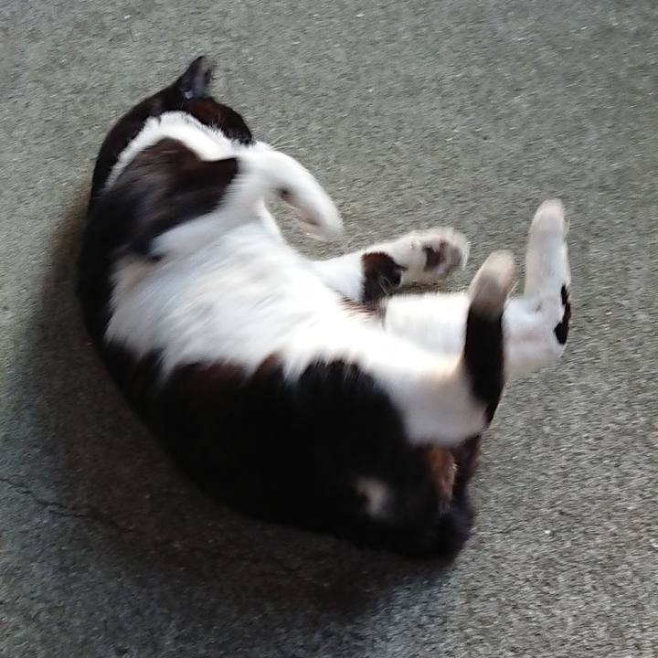 1e6d55a2 2543 46c7 bd83 bea3fb5d4fd4 1620982219099