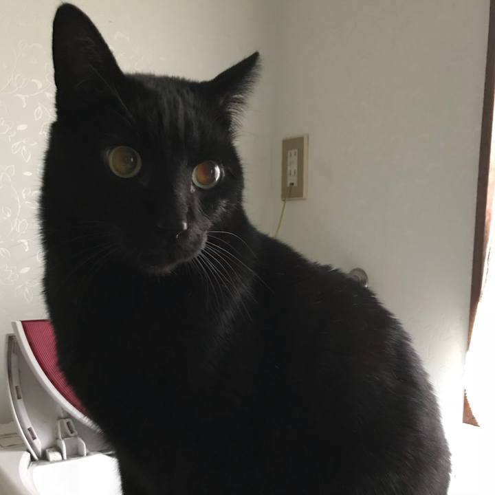 1e6d8abf 6726 48d2 abf2 9a7a881f82e9 1517878451905