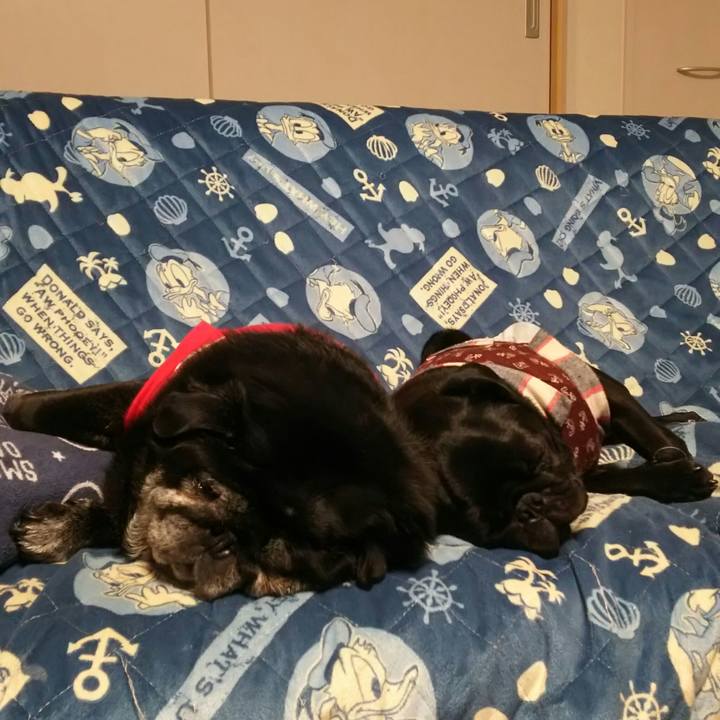 1e6d9cb8 7e19 4f7d 92a2 9273dc657385 1523116028949