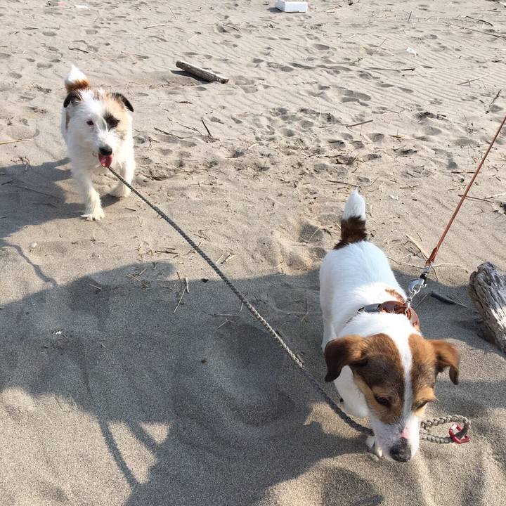 1e6dab18 3d3d 4bb1 9720 ecb51ccde2d7 1525177124302