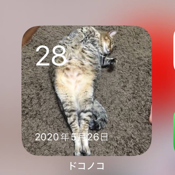 1e6deccb 8e45 40ef b614 76b19af84828 1716894838256