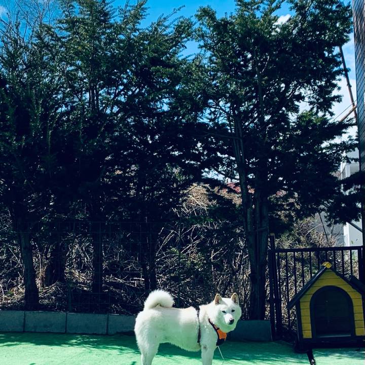 1e6e204c 42f7 4f1a 8cd9 cf8fd666d019 1617938095996