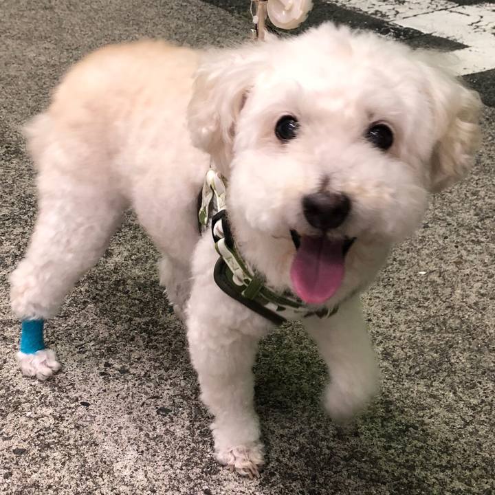 1e6e5481 7de4 4331 a5c9 bf0576061f6b 1534313247887