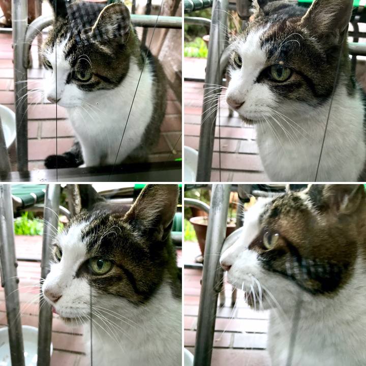 1e6e6255 725b 4f70 aef0 b06510cdb415 1542077888107