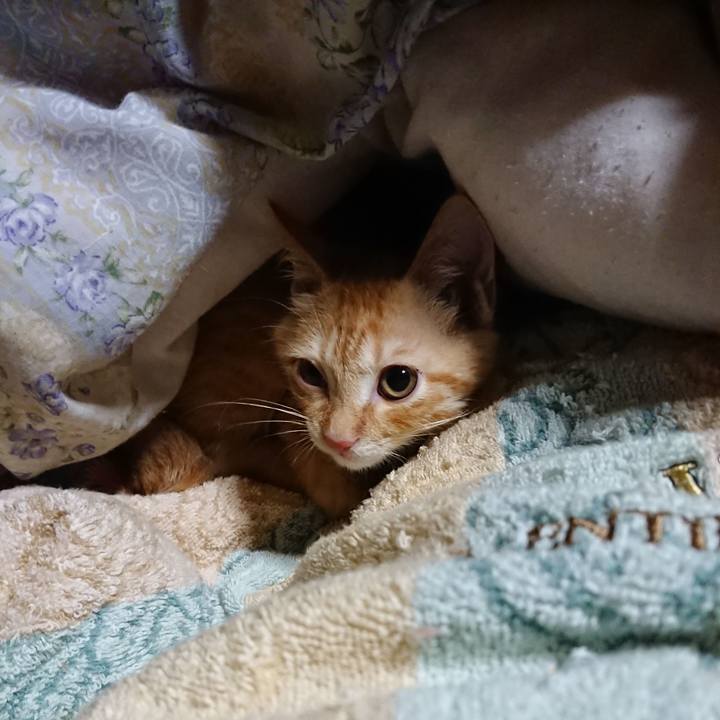 1e6e9bc9 95f9 4167 accf a387d1b81482 1631132475732