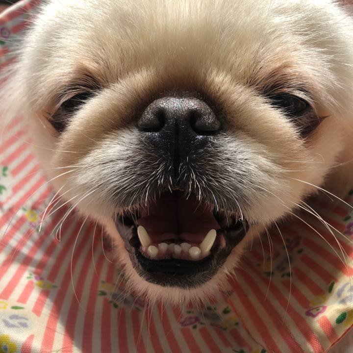 1e6ece04 3bee 4e79 9912 86a3a4e61c17 1537063448072