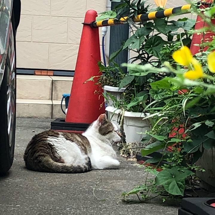 1e6ecf41 05e2 4a61 be37 84a476fe71f0 1561284838591