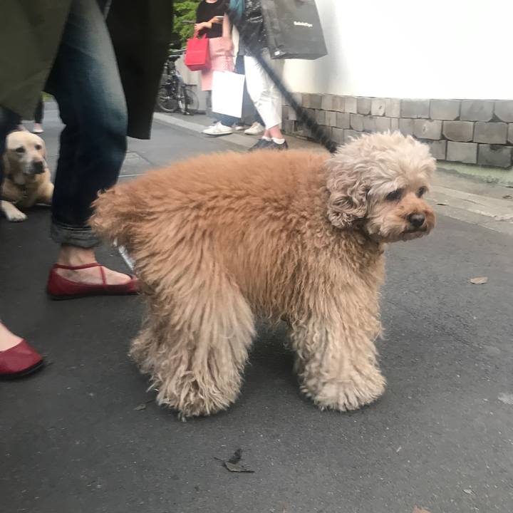 1e6f0f02 ef82 4bda 9f27 af7dafebf3b3 1524302243646