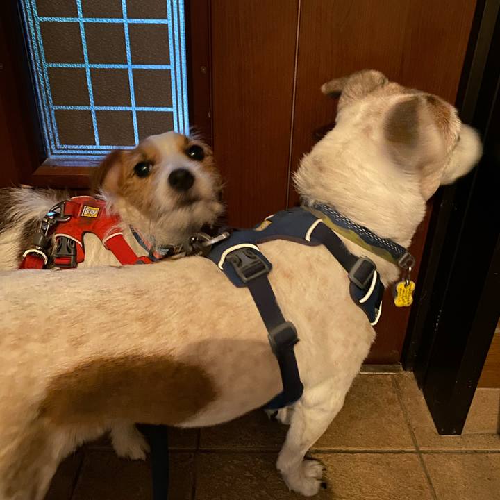 1e6f333d aecb 4116 b9b6 065b9e751e43 1669758807270