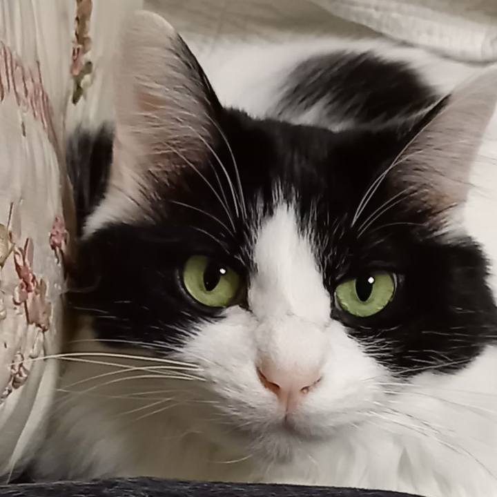 1e6f345d 1724 4515 a3ae cd78dec59b79 1612603238218