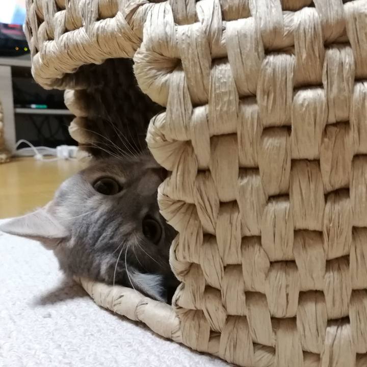 1e6f3ecd 28ab 4479 ab72 1b4d62c9994b 1537916546004