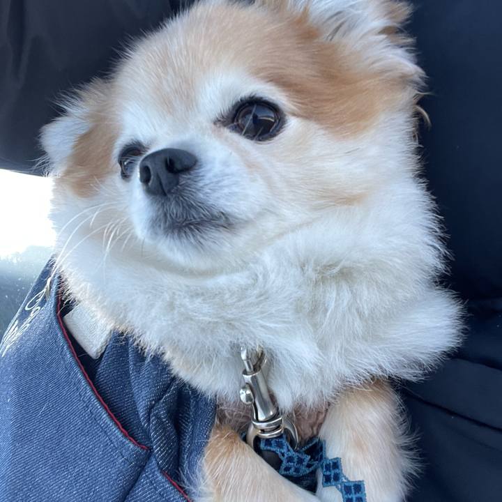 1e6fceec e5d5 46c7 86d5 c67f22acb082 1766978155279