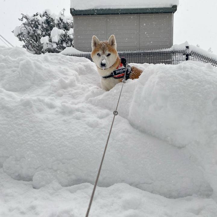 1e70239e 43ab 40f4 aebd 23e3758ec775 1705885642367