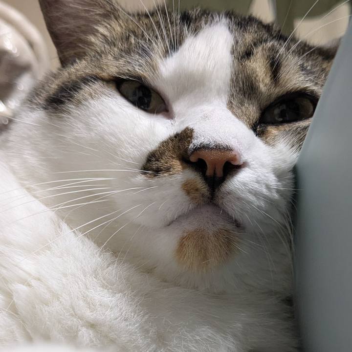 1e702747 39b1 49cd 9e41 d00f70d8385f 1757768104328