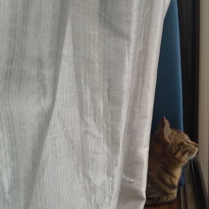 1e709ee1 362f 47ba 87fe 87aa4a2546b9 1652771069452