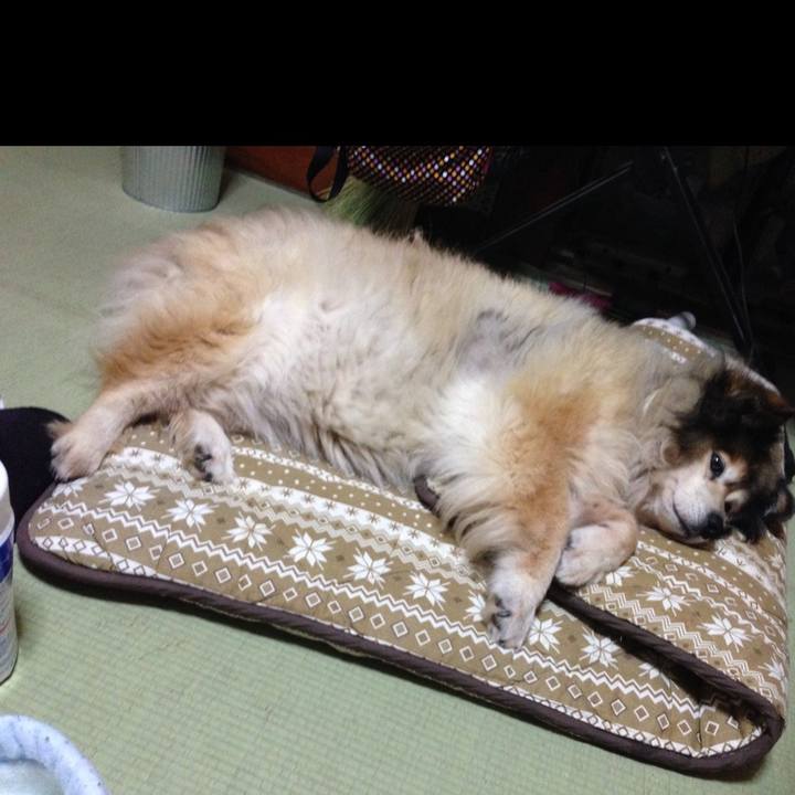 1e70ac05 82dc 45a2 a597 3b0ec4e88746 1580064403765