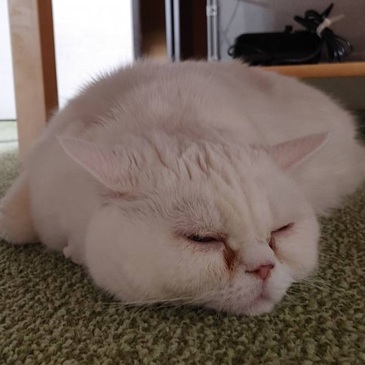 1e70bc42 3bf2 48ca 9691 f01194fead0d 1672405322295