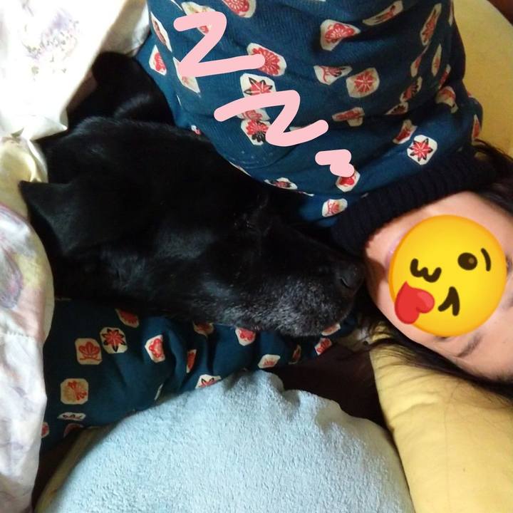 1e70c782 d2d6 4669 a719 bbda3f51c617 1709184168318