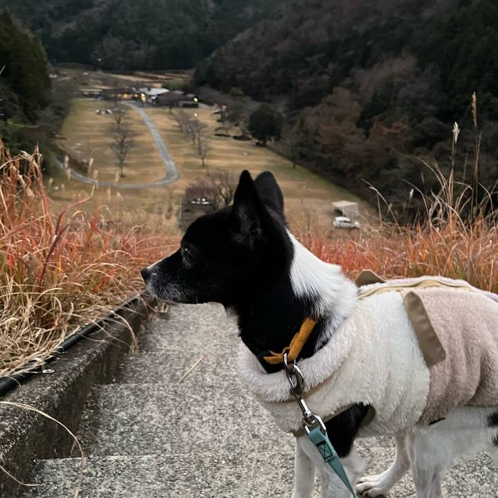 1e710056 76b1 44d0 8651 cd0a4da82886 1765804414739