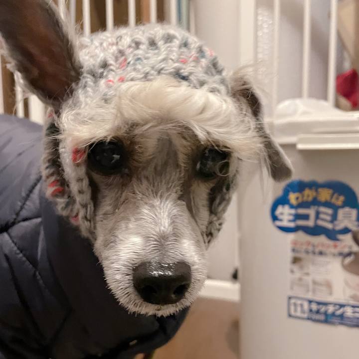 1e710c56 9d0e 4b0e aa57 bfd80de65b6b 1762848607600