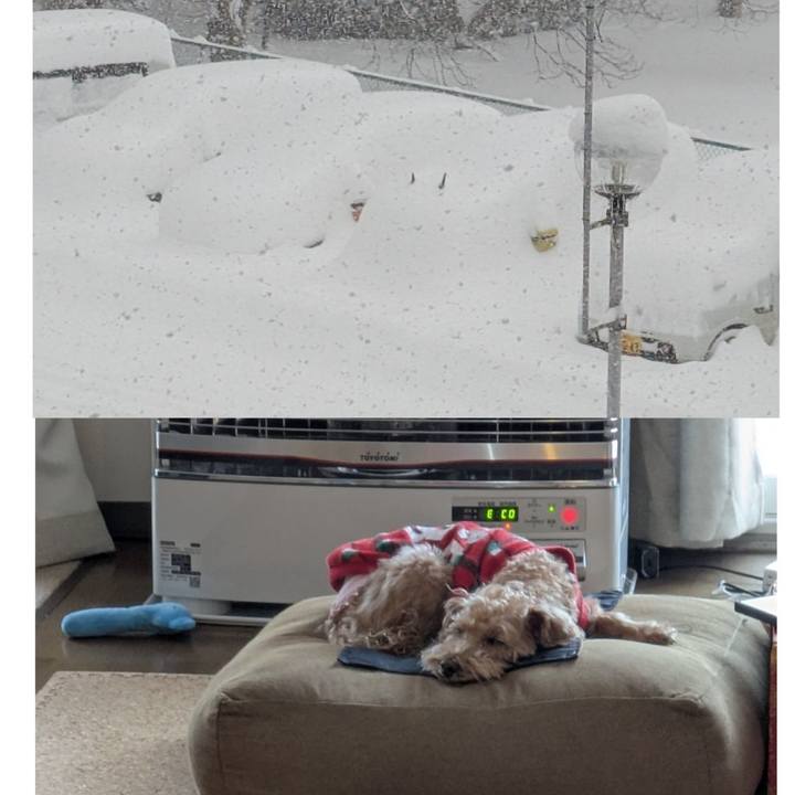 1e71182b fd0b 48d6 8424 d51afc154baa 1769300891008