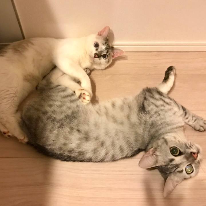 1e712a23 ae4f 4920 a0e8 5519fe99be79 1533392124042