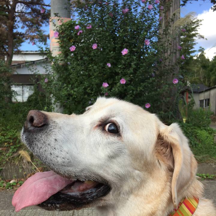 1e717121 663f 4b05 ad00 51913e3531e3 1539047859774