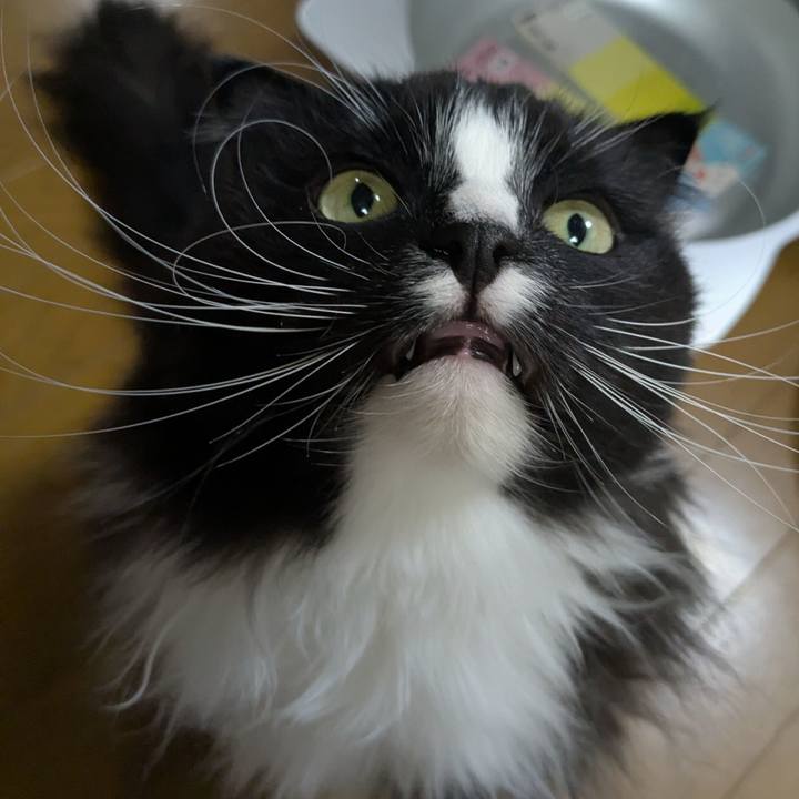 1e718213 71a2 4e1c 9801 e97f1dafd926 1742715869833