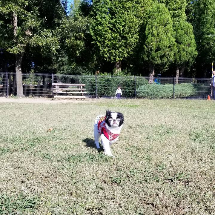 1e718872 044b 4b37 880b c0fed18df270 1572849943263