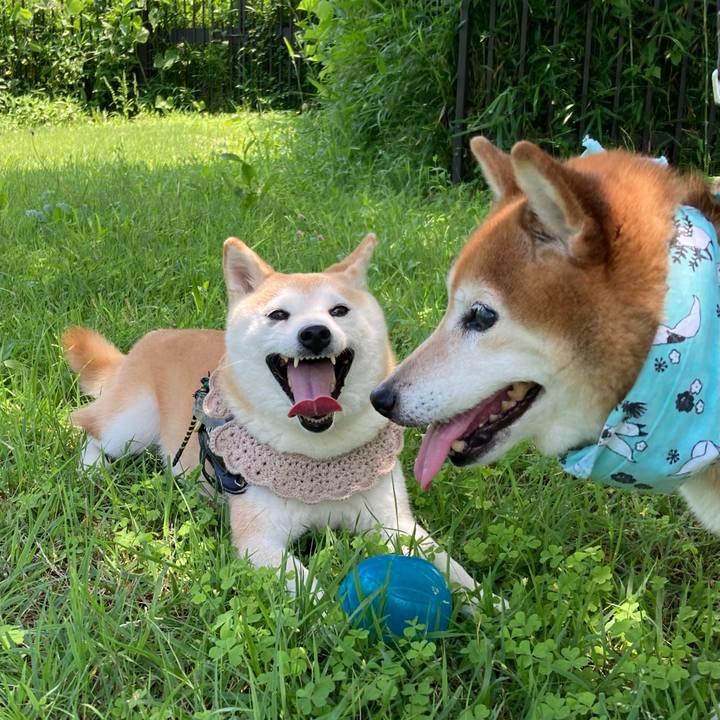 1e71abee e5fb 4c1b 9159 4c18ac0d649f 1718865970512