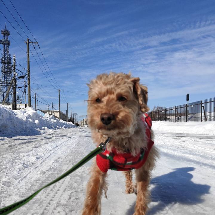 1e71d4db acb9 47ba aec9 a56baa9050b8 1582959246641