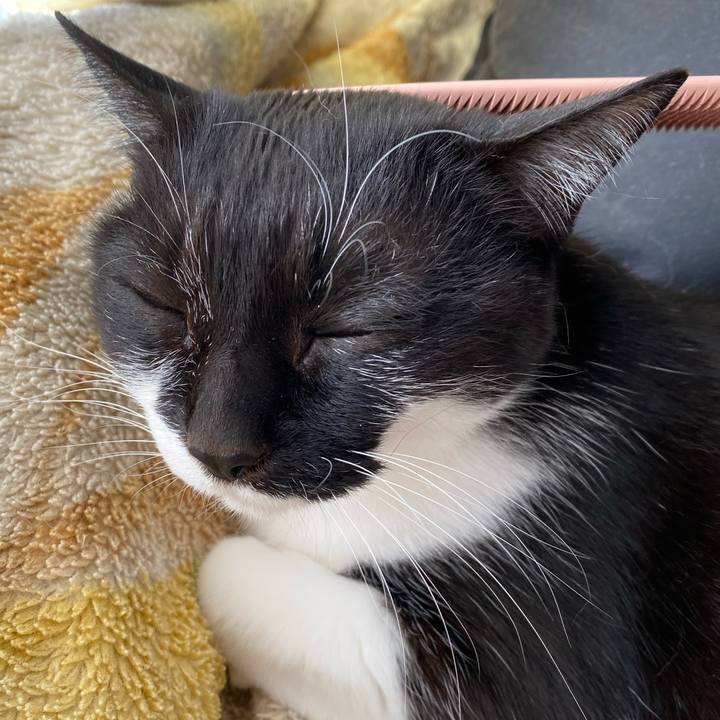 1e71d94d fba2 49f3 ab06 09b2eb654f49 1735898546183