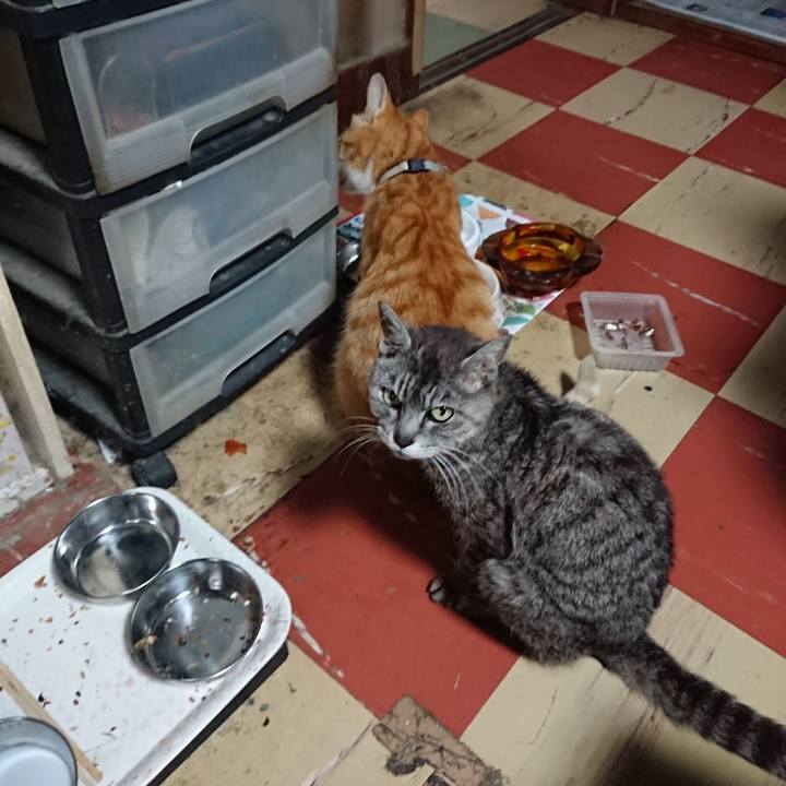 1e71f143 44f1 415a b574 0b123dcb04ea 1594631231579